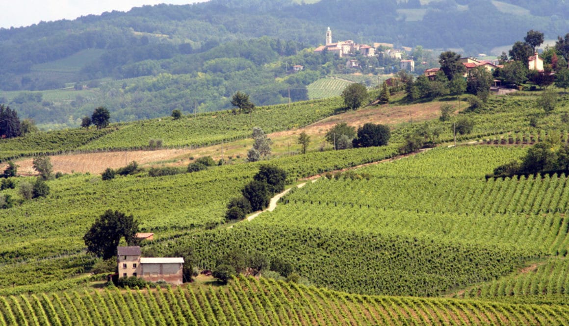 milan wine region oltrepo