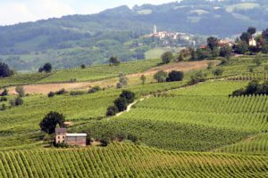 milan wine region oltrepo