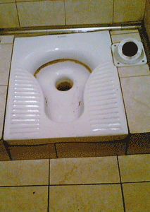 italian toilets